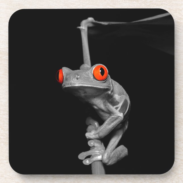 Red Eyed Tree Frog Coaster (Front)