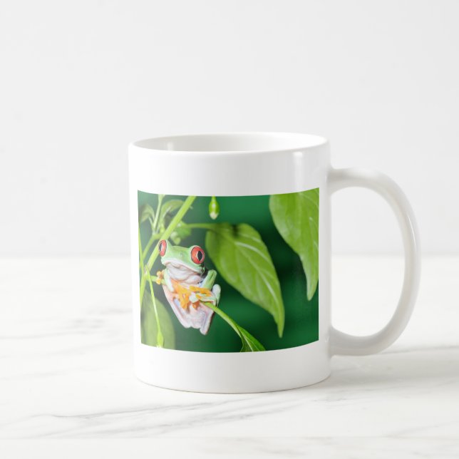 red eyed tree frog coffee mug (Right)
