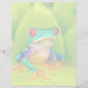Red-eyed tree frog, Costa Rica