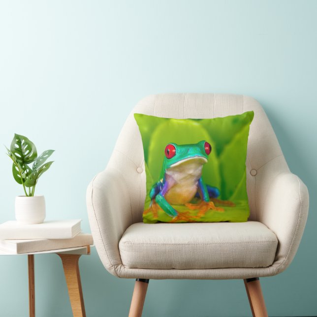 Red-eyed tree frog, Costa Rica Cushion (Chair)