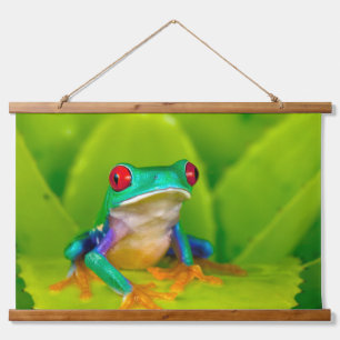 Red-eyed tree frog, Costa Rica Hanging Tapestry
