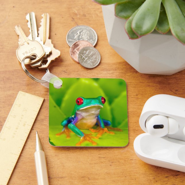 Red-eyed tree frog, Costa Rica Key Ring (Desk)