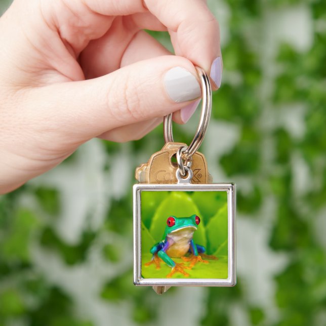 Red-eyed tree frog, Costa Rica Key Ring (Hand)
