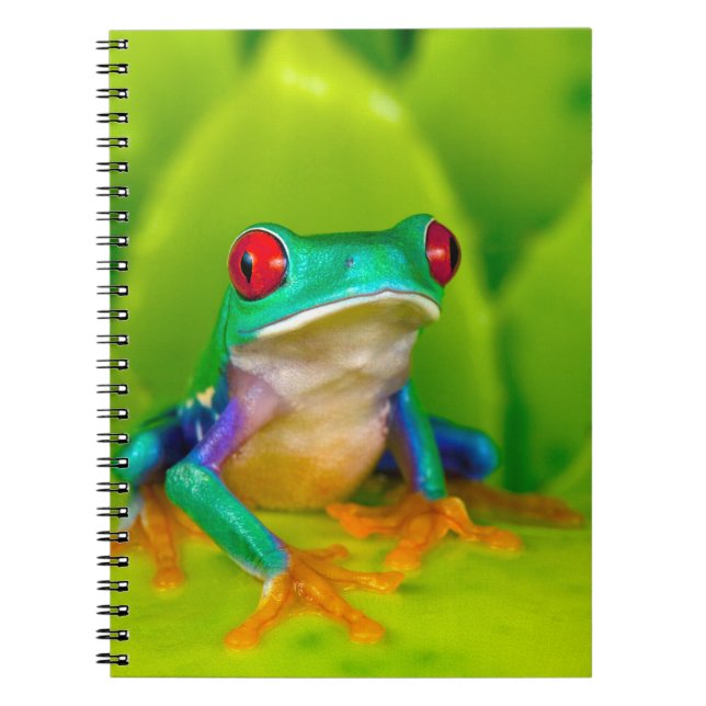Red-eyed tree frog, Costa Rica Notebook (Front)
