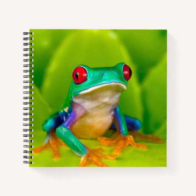 Red-eyed tree frog, Costa Rica Notebook (Front)
