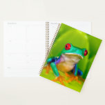Red-eyed tree frog, Costa Rica Planner<br><div class="desc">Red-eyed tree frog (Agalychnis callidryas),  Costa Rica</div>