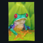 Red-eyed tree frog, Costa Rica Tea Towel<br><div class="desc">Red-eyed tree frog (Agalychnis callidryas),  Costa Rica</div>