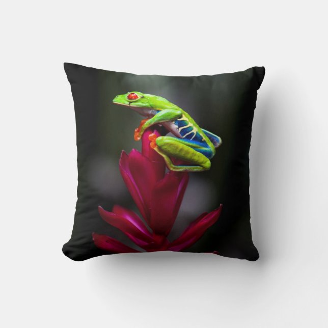 Red-eyed Tree Frog Cushion (Front)