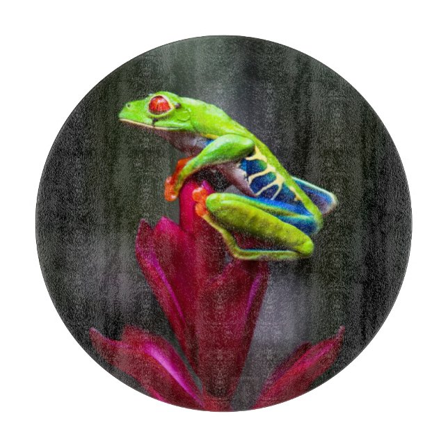 Red-eyed Tree Frog Cutting Board (Front)