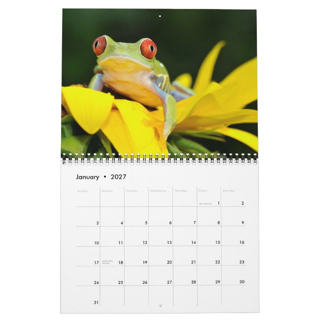 red eyed tree frog, Frogs 2011 calendar (Jan 2027)