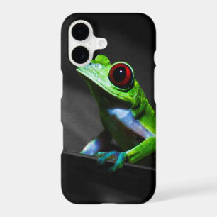 Red Eyed Tree Frog III