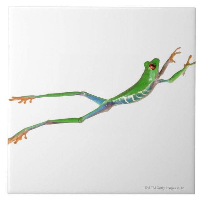 Red eyed tree frog jumping ceramic tile (Front)