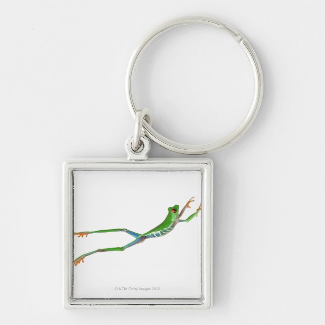 Red eyed tree frog jumping key ring (Front)