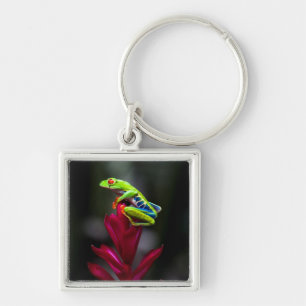 Red-eyed Tree Frog Key Ring