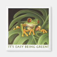 Red Eyed Tree Frog Magnet