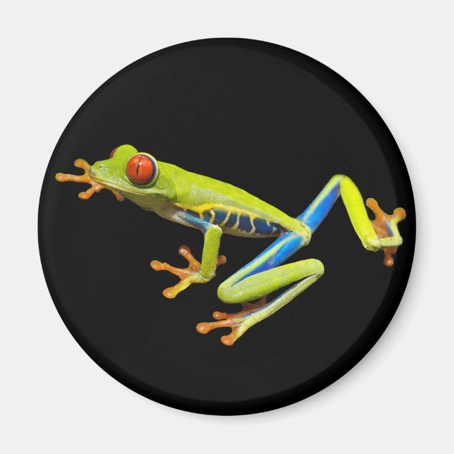 Red eyed tree frog magnet (Front)