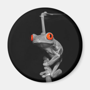 Red Eyed Tree Frog Magnet