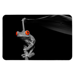 Red Eyed Tree Frog Magnet