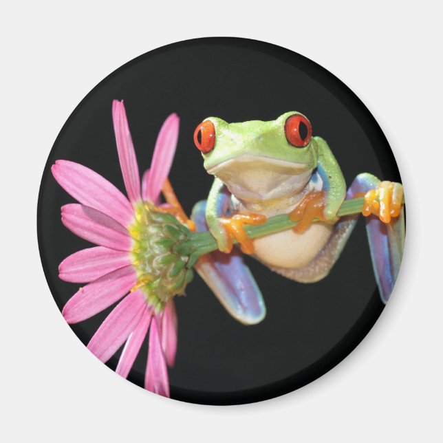 red eyed tree frog magnet (Front)