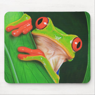 Red Eyed Tree Frog Mouse Pad