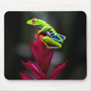 Red-eyed Tree Frog Mouse Pad