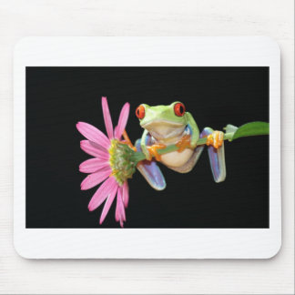 red eyed tree frog mouse pad