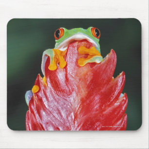 Red-Eyed Tree Frog on Leaf Mouse Pad