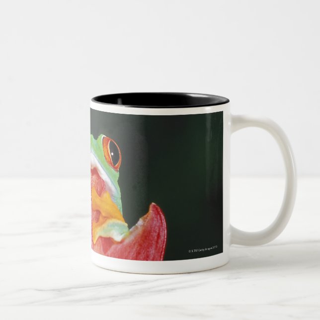 Red-Eyed Tree Frog on Leaf Two-Tone Coffee Mug (Right)