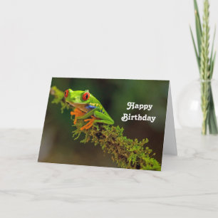 Red Eyed Tree Frog Photo Birthday Card