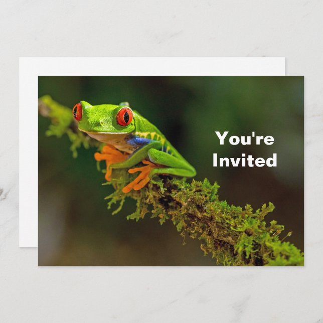 Red Eyed Tree Frog Photo Birthday Invitation (Front/Back)