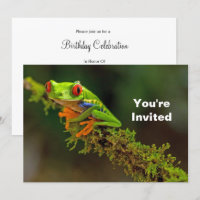 Red Eyed Tree Frog Photo Birthday