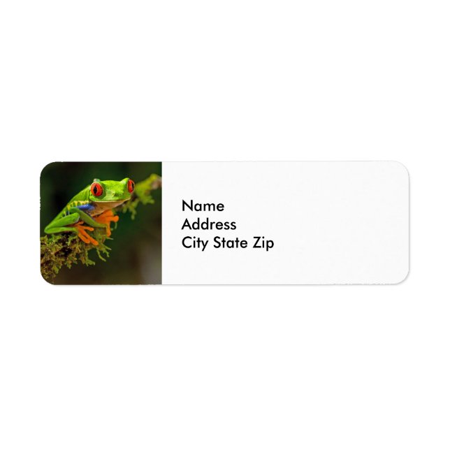Red Eyed Tree Frog Photo Return Address Label (Front)