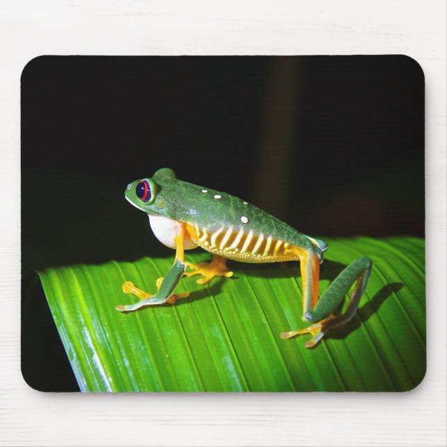 Red-Eyed Tree Frog Photography Mouse Pad (Front)
