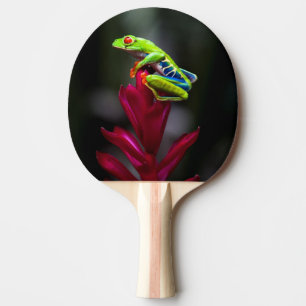Red-eyed Tree Frog Ping Pong Paddle