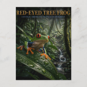 Red-Eyed Tree Frog Rainforest ANIMALS Postcard