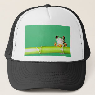 red eyed tree frog trucker hat