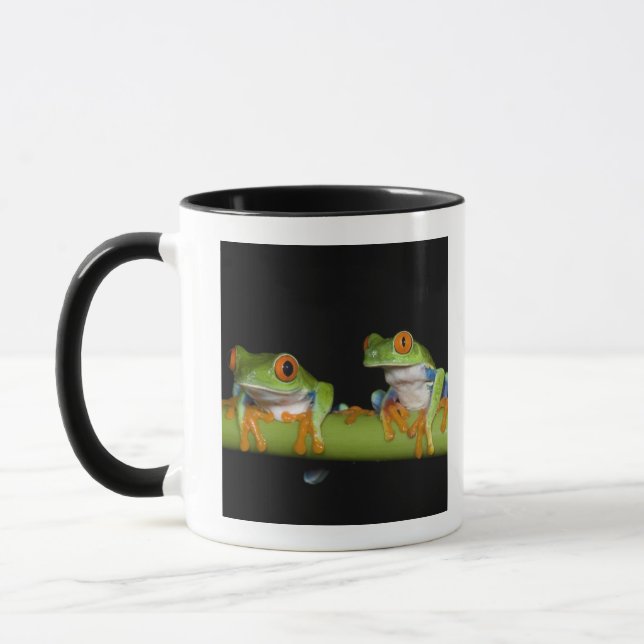 Red-eyed Tree Frogs (Agalychnis callidryas) Mug (Left)