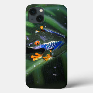 Red Eyes Frog On Leaf iPhone 13 Case