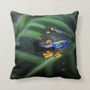 Red Eyes Frog On Leaf Cushion