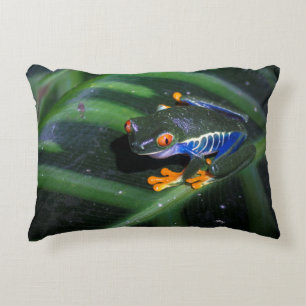 Red Eyes Frog On Leaf Decorative Cushion