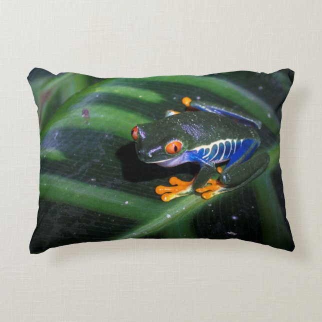Red Eyes Frog On Leaf Decorative Cushion (Front)