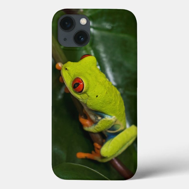 Red Eyes Frog On Stem Case-Mate iPhone Case (Back)