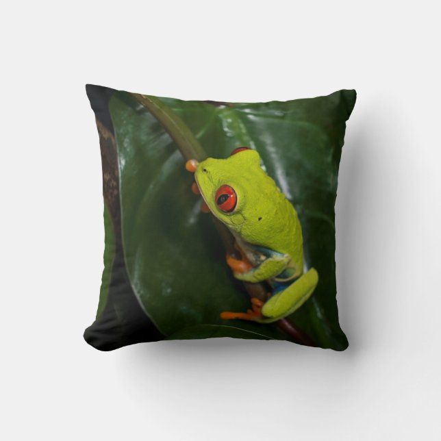 Red Eyes Frog On Stem Cushion (Front)