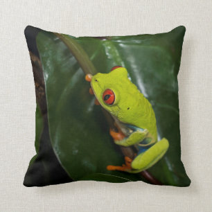 Red Eyes Frog On Stem Cushion