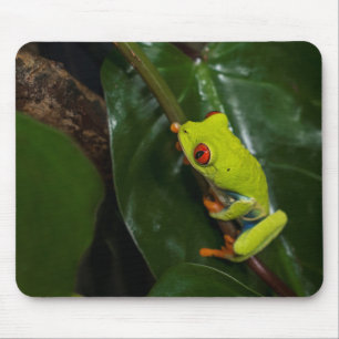 Red Eyes Frog On Stem Mouse Pad