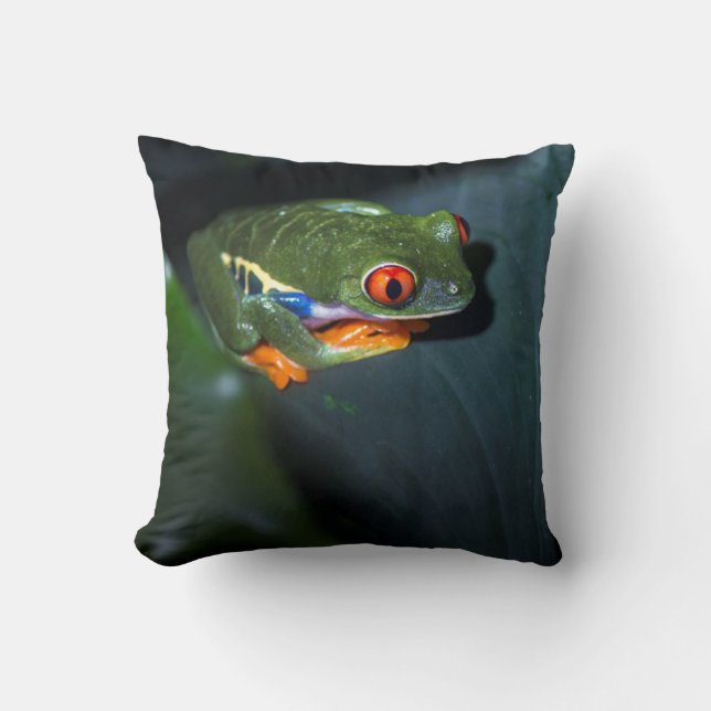 Red Eyes Frog Sitting Cushion (Front)