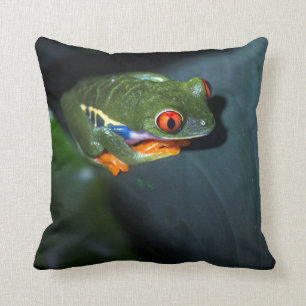 Red Eyes Frog Sitting Cushion