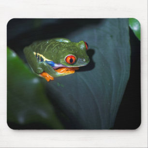 Red Eyes Frog Sitting Mouse Pad