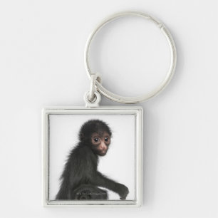 Red-faced Spider Monkey - Ateles paniscus (3 Key Ring