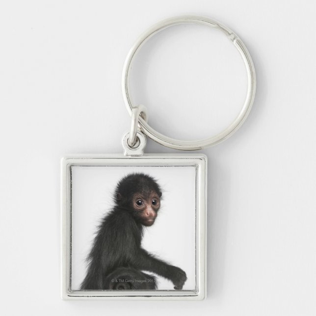Red-faced Spider Monkey - Ateles paniscus (3 Key Ring (Front)